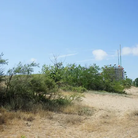 Rose Self Catering דירה *
